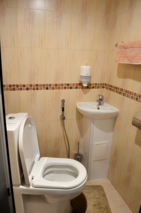 Дизайн небольшого туалета с раковиной и гигиеническим душем