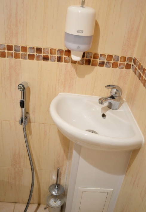 Дизайн небольшого туалета с раковиной и гигиеническим душем