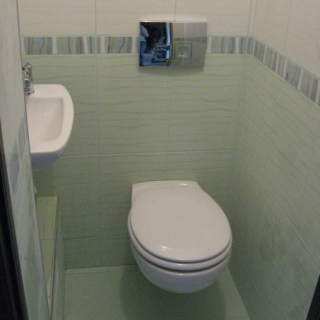 Туалет с раковиной - 30 фото