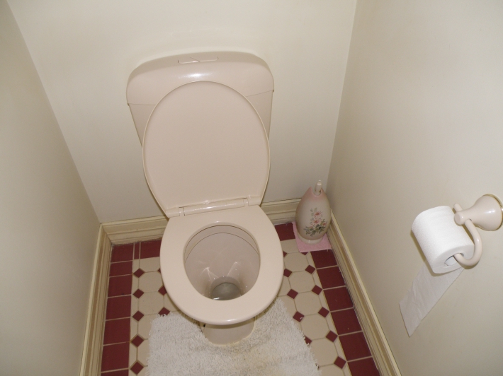 1455035020 australian toilet