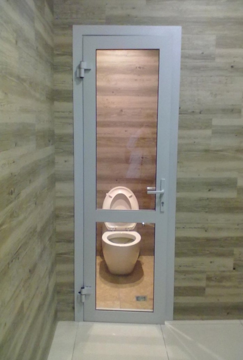 Стеклянные двери для туалета – 25 фото