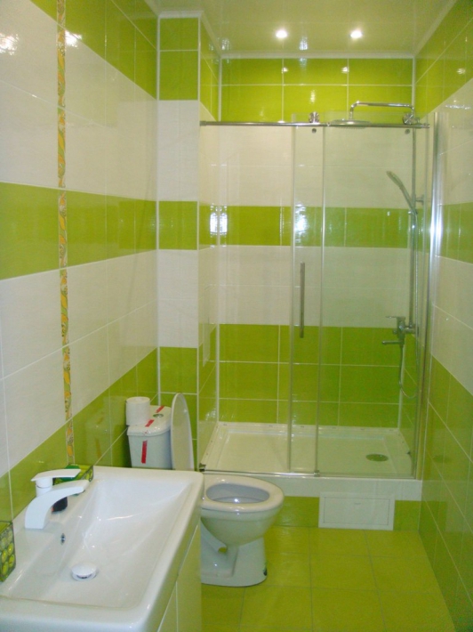 Дизайн зеленого совмещенного с ванной туалета, в котором нет ничего лишнего